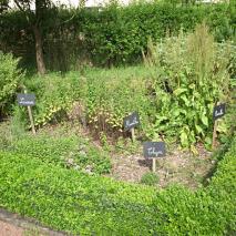 Le jardin potager